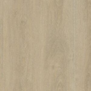 Robusto dryback light natural