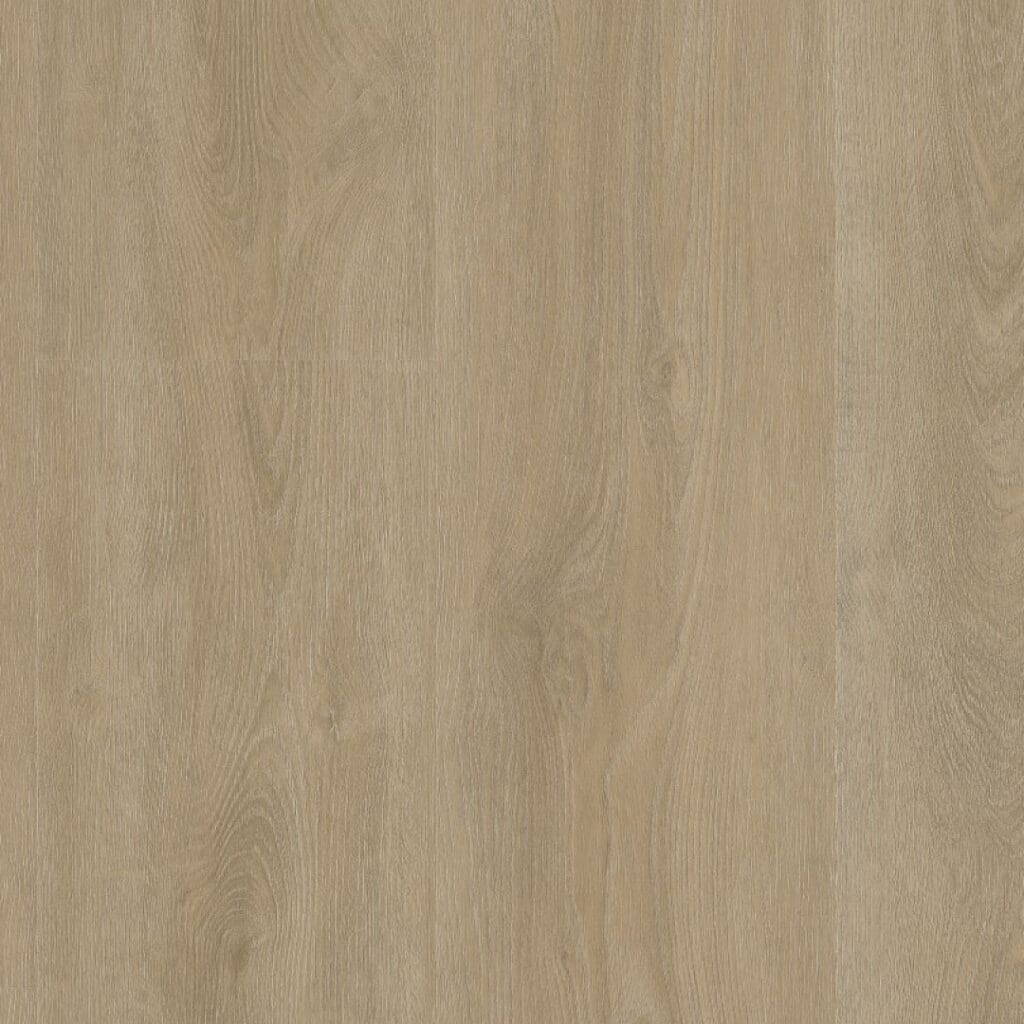 Robusto dryback beige