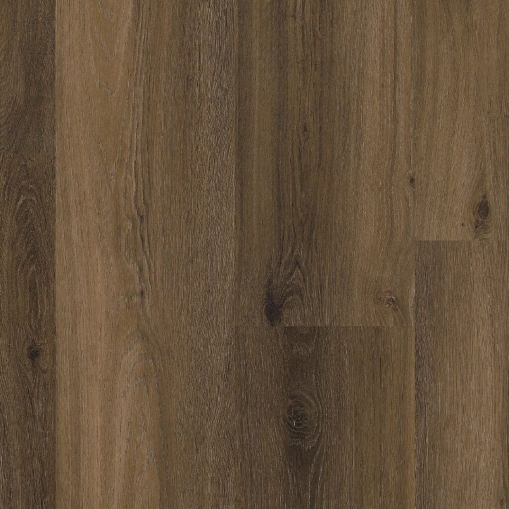 main_image_9097450119.jpg
