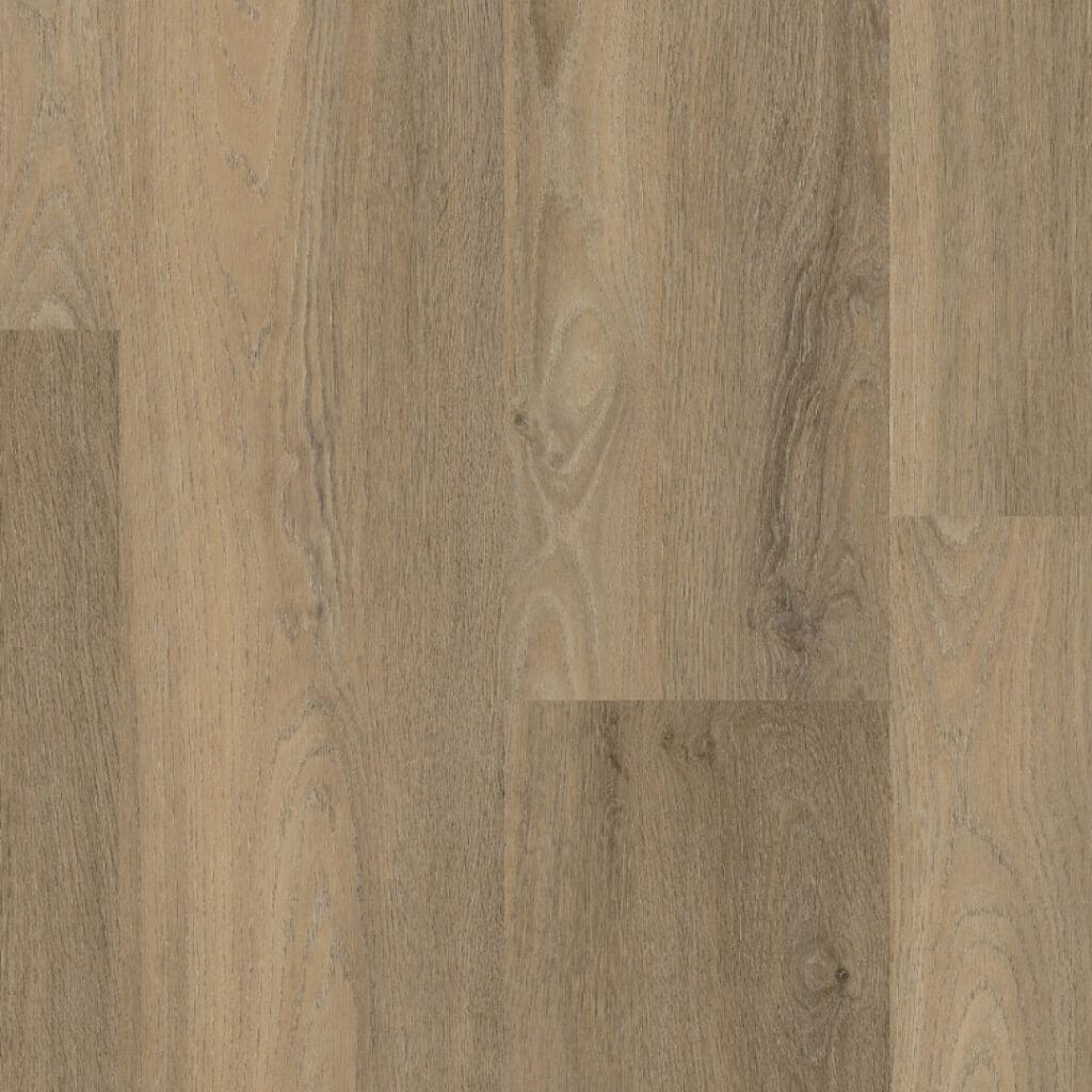 main_image_9097450219.jpg