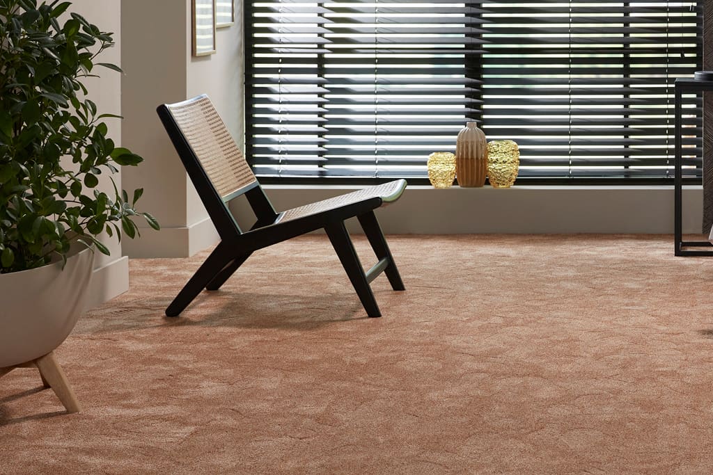 ontdek-de-collecties-van-ambiant