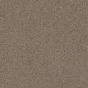 Maryland taupe 0535