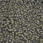 Traffic sahara 0420 | 400cm