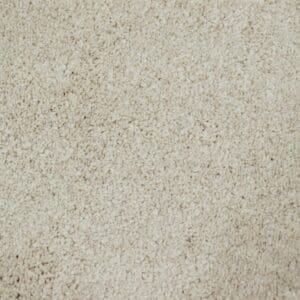 Amoroso champagne 0030