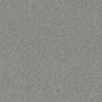 Baltimore zilver 0175