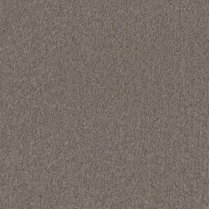 Baltimore hazelnoot 0465 | 400cm