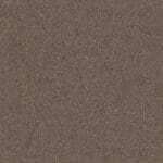 Baltimore kastanje 0620