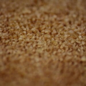 Charmant oranjerood 0325