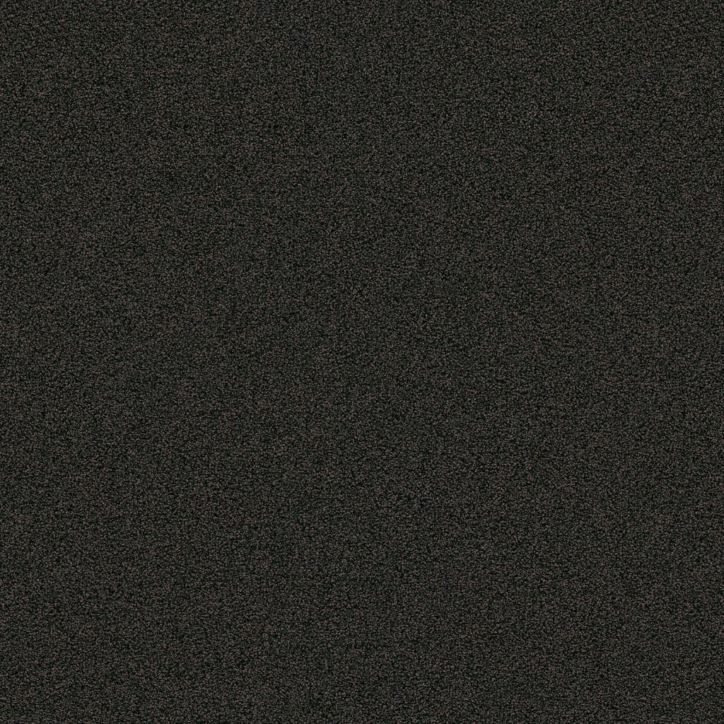 Entrance zwartbruin 0255  | 60x80cm