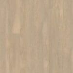 Arnstadt natuur eiken