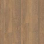 Saarland natuur eiken