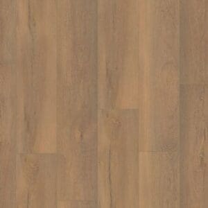 Saarland natuur eiken