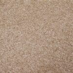 Magnifico savanne 0455