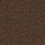 Magnifico bruin 0600