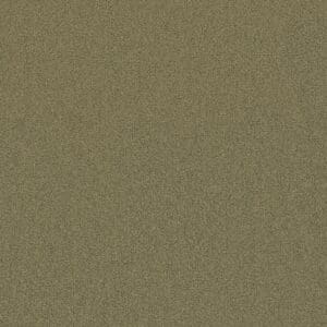 Nashville rietgroen 0913