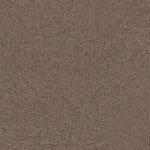 Louisville bruin 0600