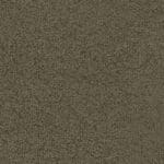 Louisville olijf 0912