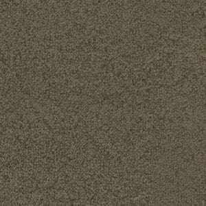 Louisville olijf 0912