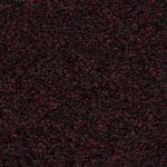 Minnesota zwartrood 0207