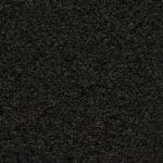 Minnesota zwartbruin 0255