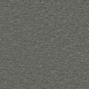 Orlando olifant 0120