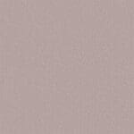 Orlando babyroze 1120