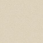 Charlotte creme 0005