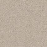 Charlotte champagne 0030