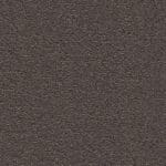 Charlotte donkergrijs 0101