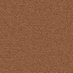 Charlotte oranje 0300