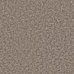 Newberry greige 0195