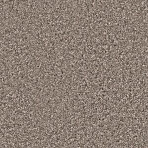 Newberry greige 0195