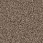 Newberry lichtbruin 0602