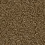 Newberry mosterd 0996