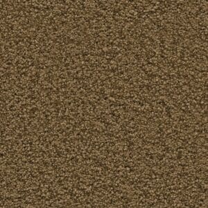 Newberry mosterd 0996