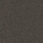 Pittsburgh olifant 0120