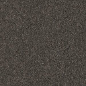 Pittsburgh olifant 0120