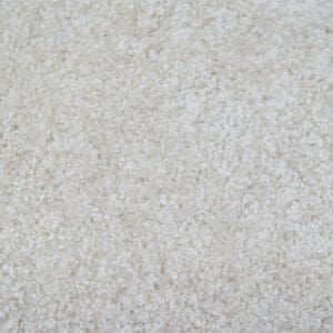 Portland champagne 0030