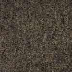 Scottsdale leembruin 0685