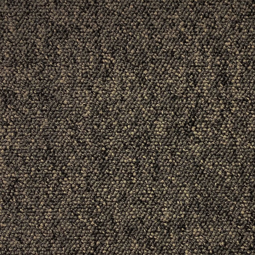 Scottsdale leembruin 0685