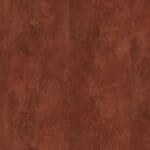 Viretto dryback dark orange