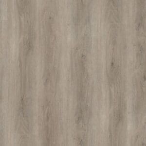 Robusto dryback light grey