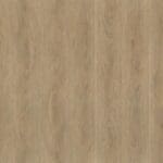 Robusto dryback natural oak