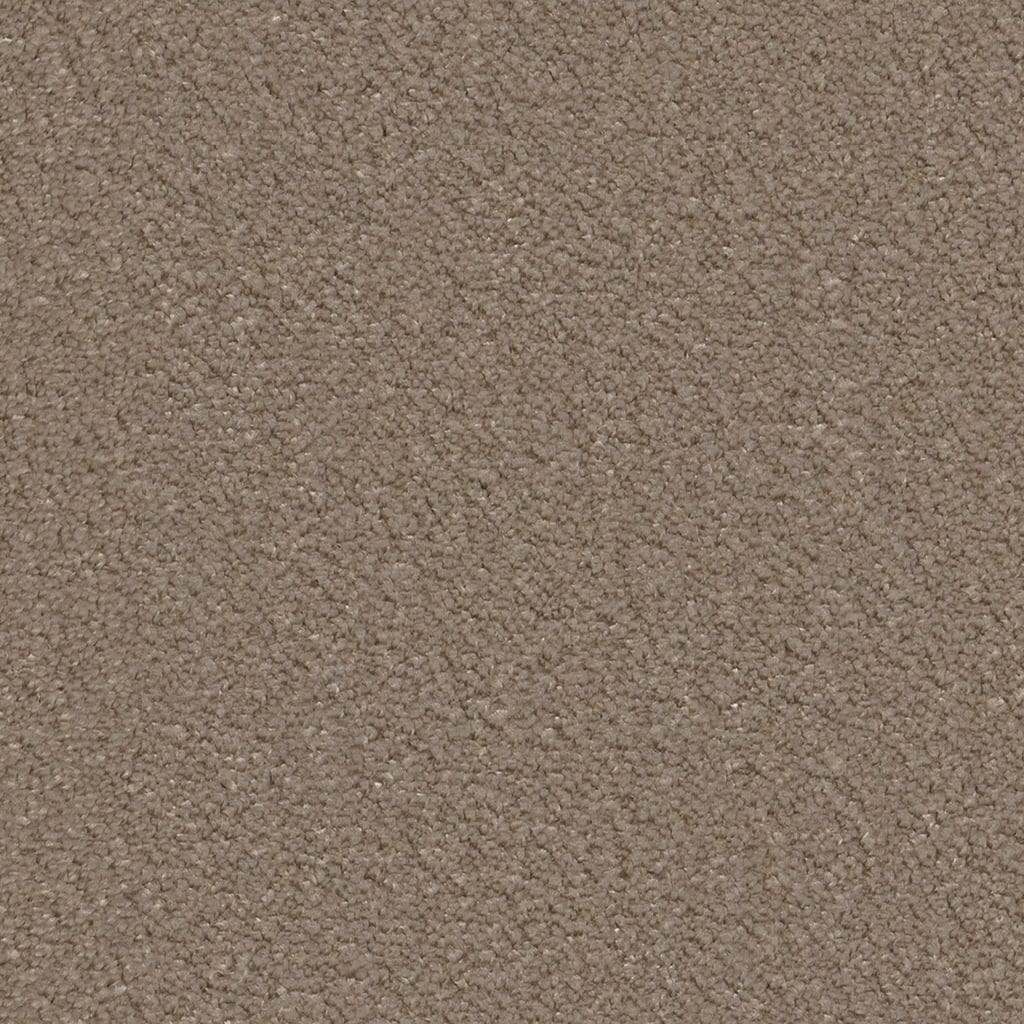 Lodi taupe 0535 | 400cm