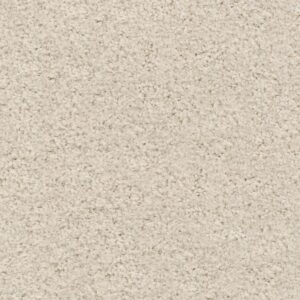 Amoroso champagne 0030 | 400cm