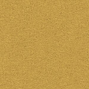 Charmant mango 0855  | 400cm