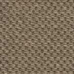 Dragon grass 8047 | 400cm