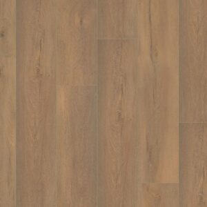 Saarland natuur eiken