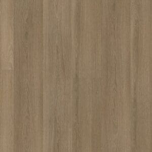 Soleno dryback dark oak
