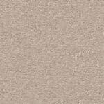 Orlando champagne 0030  | 400cm